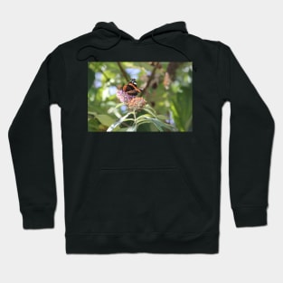 Red Admiral Hoodie